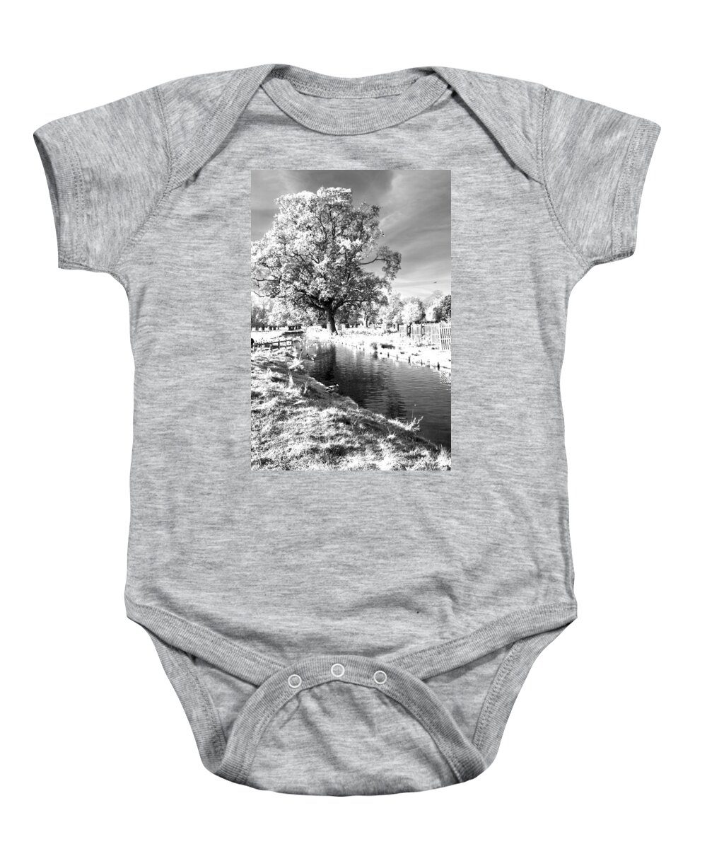 Greeting Card Baby Onesie featuring the photograph Single Tree Aginst the Sun by Maj Seda