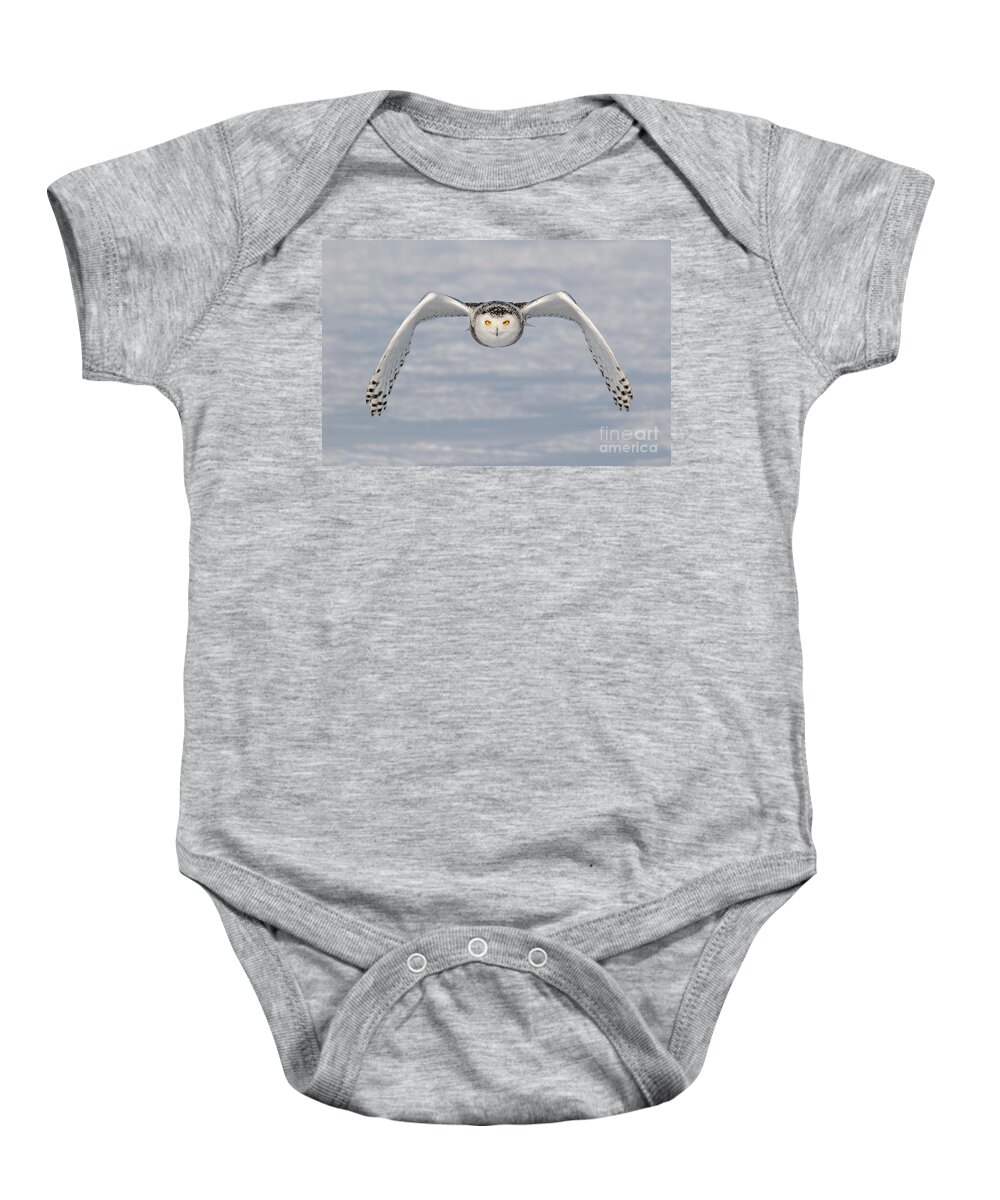 Canada Fauna Baby Onesie featuring the photograph Snowy Owl Incoming by Scott Linstead