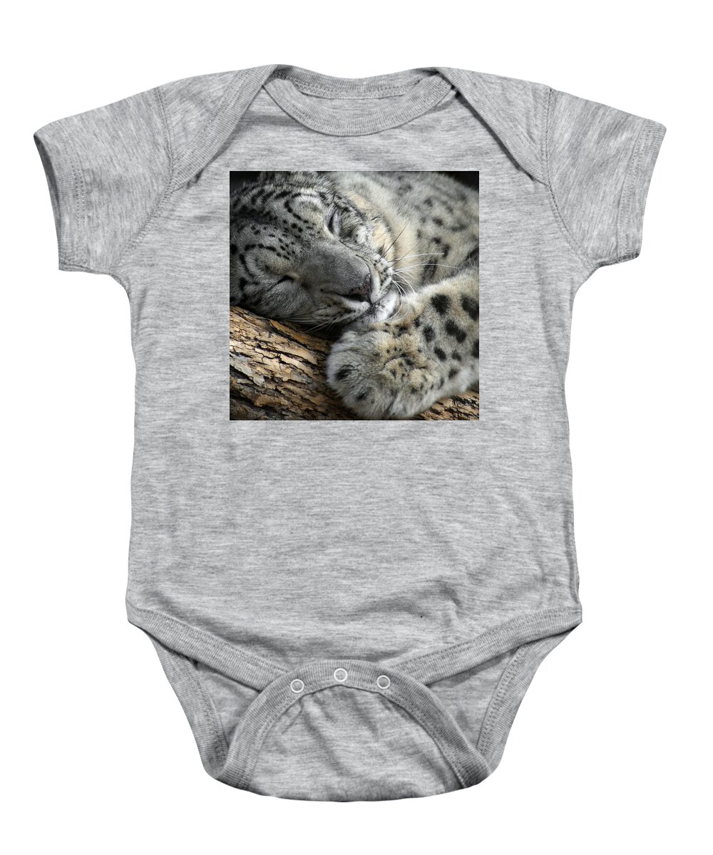 Animals Baby Onesie featuring the photograph Snuggles by Ernest Echols