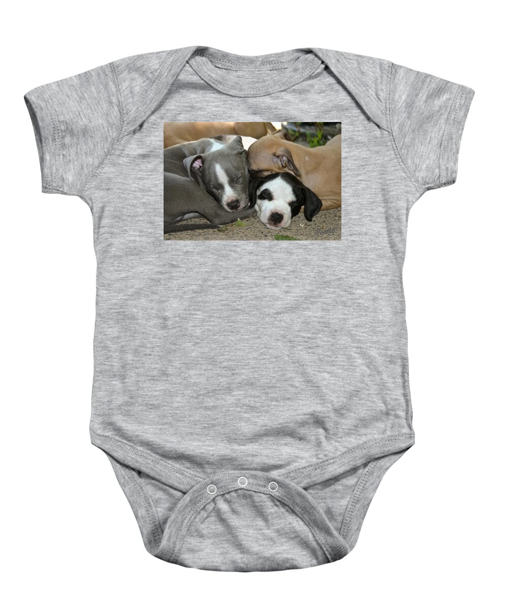Pit Bull Baby Onesie featuring the photograph Snuggly by Ann Ranlett