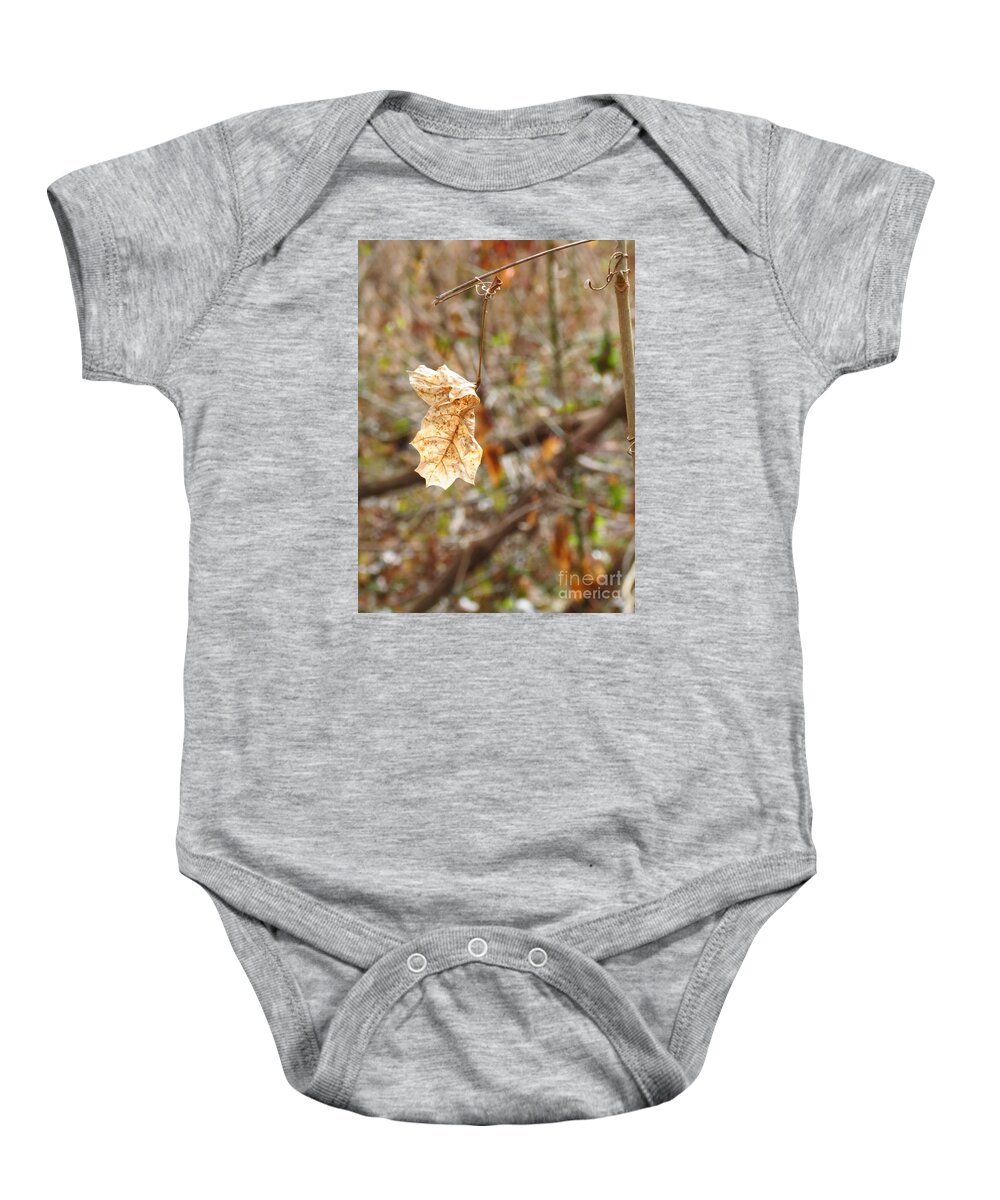 Leaf Baby Onesie featuring the photograph Solitary Leaf by Anita Adams
