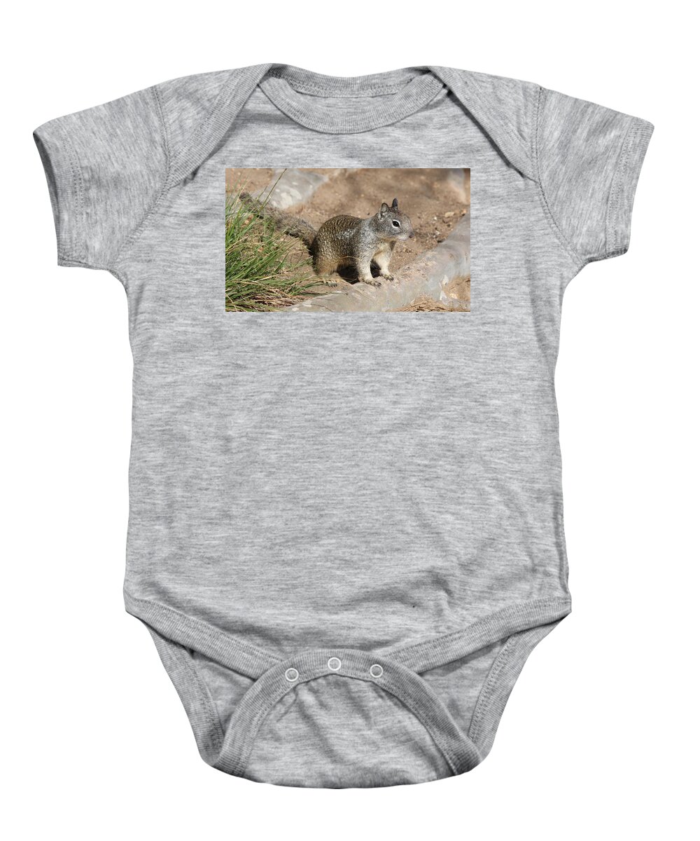 Squirrel Baby Onesie featuring the photograph Squirrel - 2 by Christy Pooschke