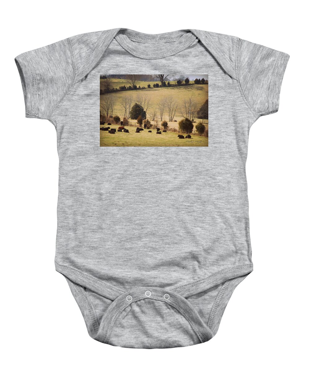 Featured Baby Onesie featuring the photograph Steers In Rolling Pastures - Kentucky by Paulette B Wright