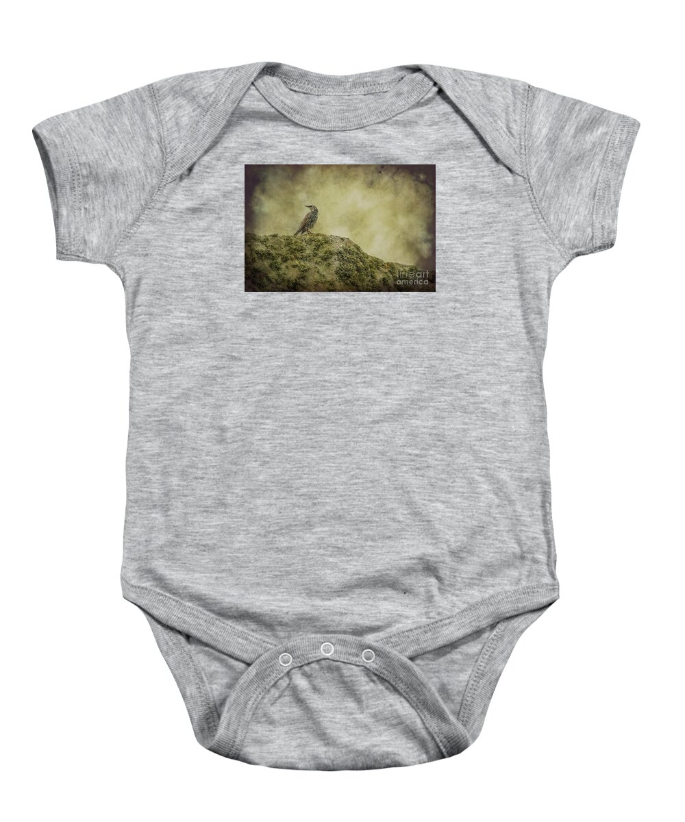 England Baby Onesie featuring the photograph Stonehenge Birds 3 by Clare Bambers