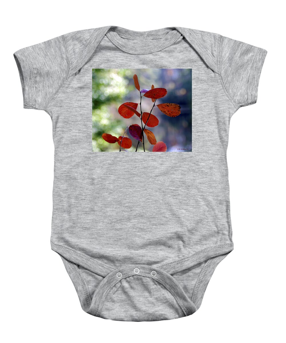 2d Baby Onesie featuring the photograph Summer's End by Brian Wallace
