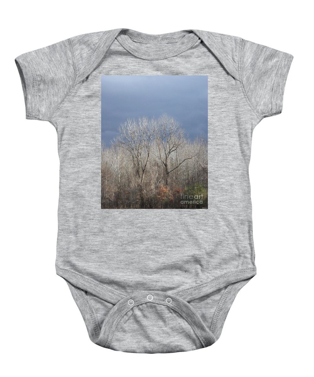 Trees Baby Onesie featuring the photograph Sunday Gray Morning by Lizi Beard-Ward