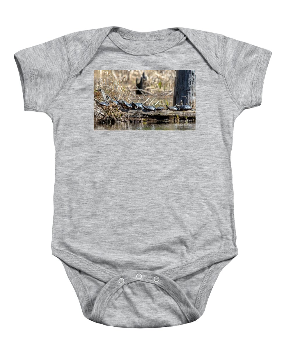 Painted Turtles Baby Onesie featuring the photograph Sunning Turtles by Cheryl Baxter