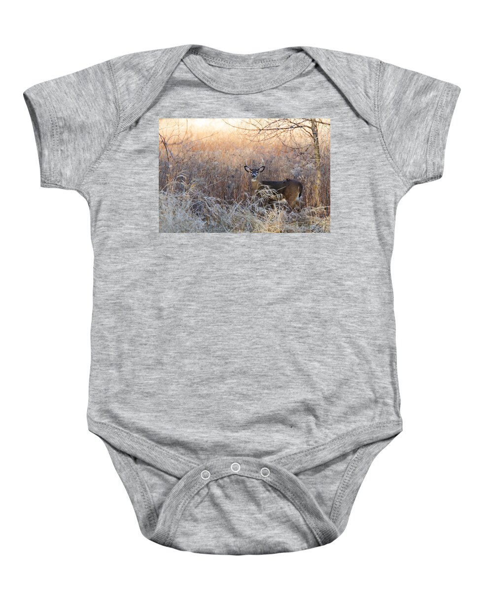 White-tailed Baby Onesie featuring the photograph Sunshine Deer by Mircea Costina Photography