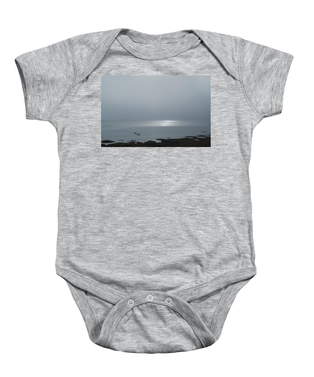 Plum Island Baby Onesie featuring the photograph Swans at Sunrise by Rick Mosher