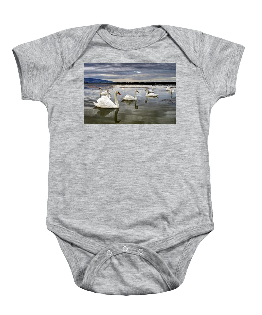 Water Baby Onesie featuring the photograph Swans by Ivan Slosar