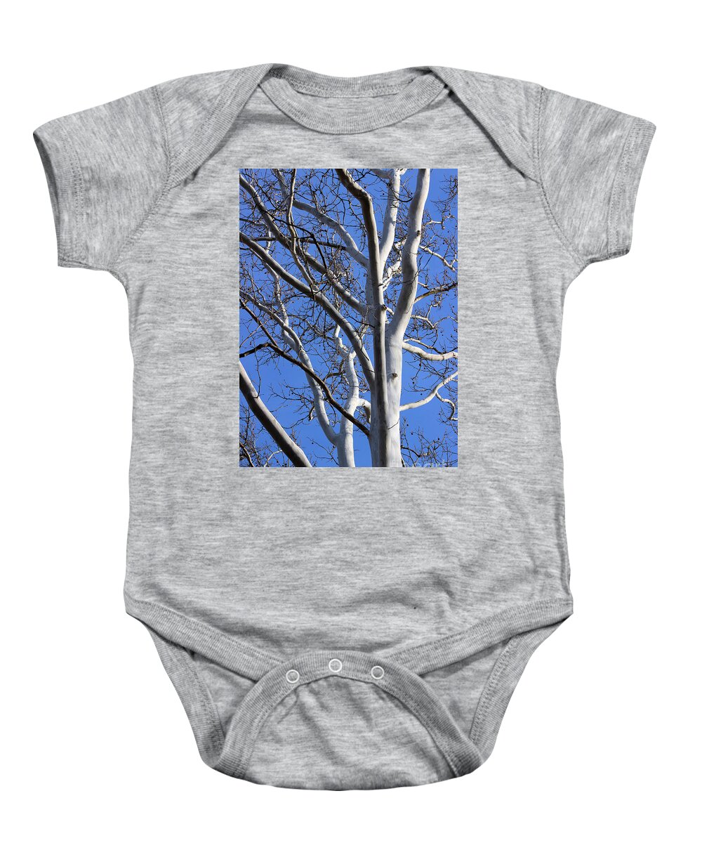 Sycamore Baby Onesie featuring the photograph Sycamore Tree with Blue Winter Sky by Karen Adams