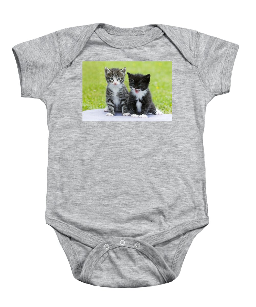 Feb0514 Baby Onesie featuring the photograph Tabby And Black Kittens by Duncan Usher