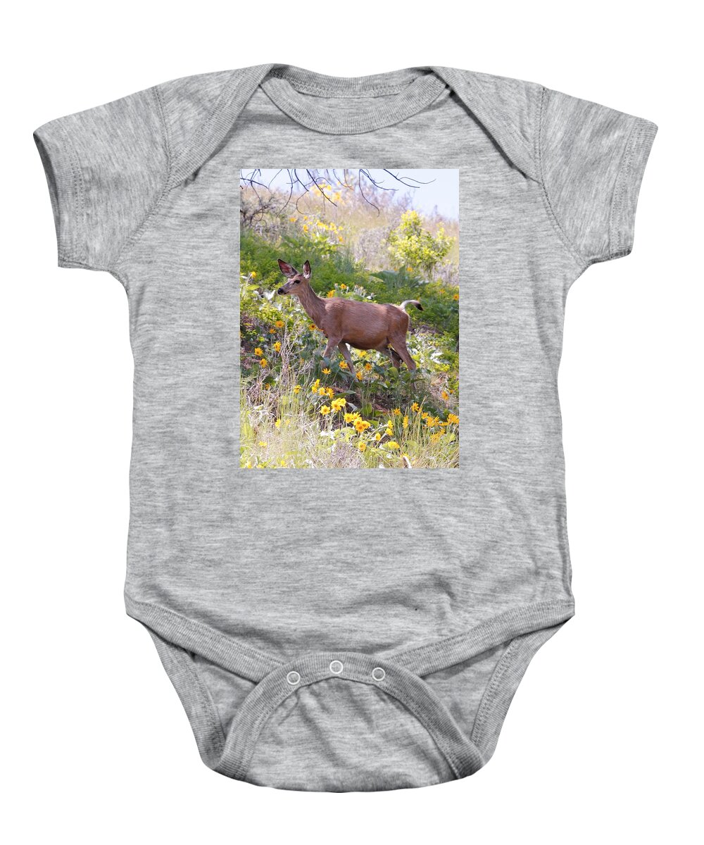 Deer Baby Onesie featuring the photograph Taking a Stroll in the Country by Athena Mckinzie