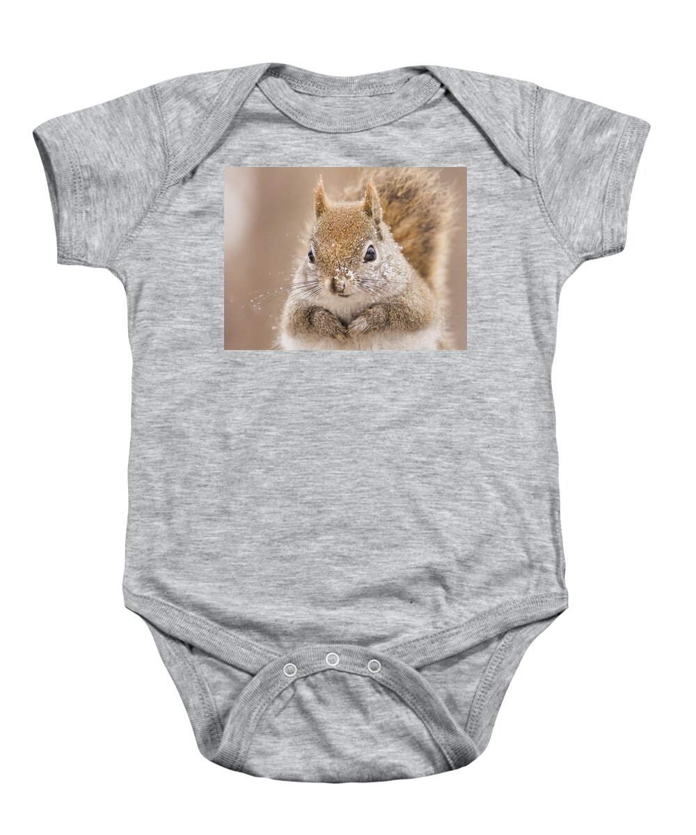 Animal Baby Onesie featuring the photograph The first day of spring by Mircea Costina Photography