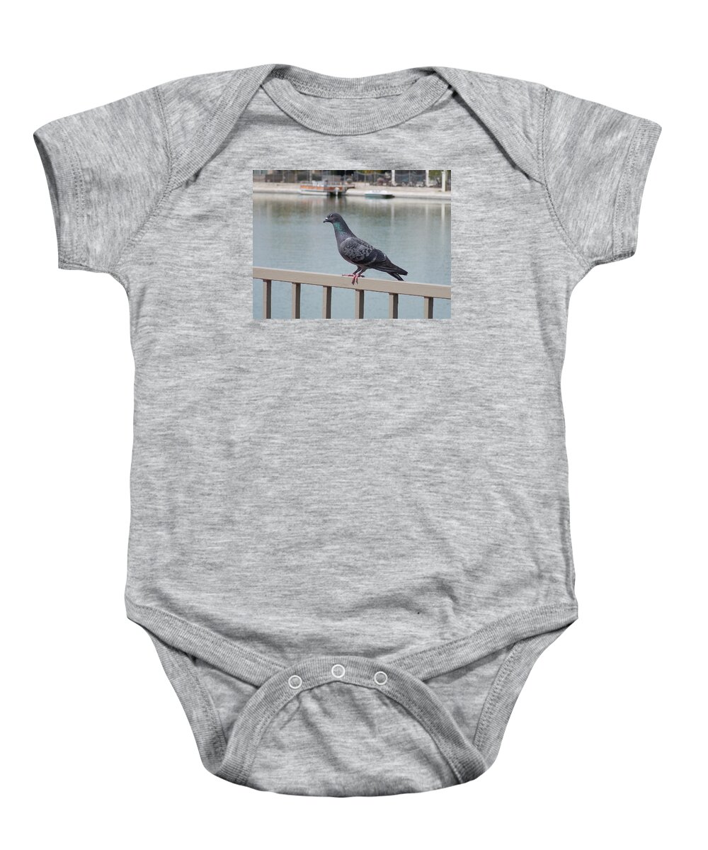 Posing Baby Onesie featuring the photograph The Posing Pigeon by Nina Kindred