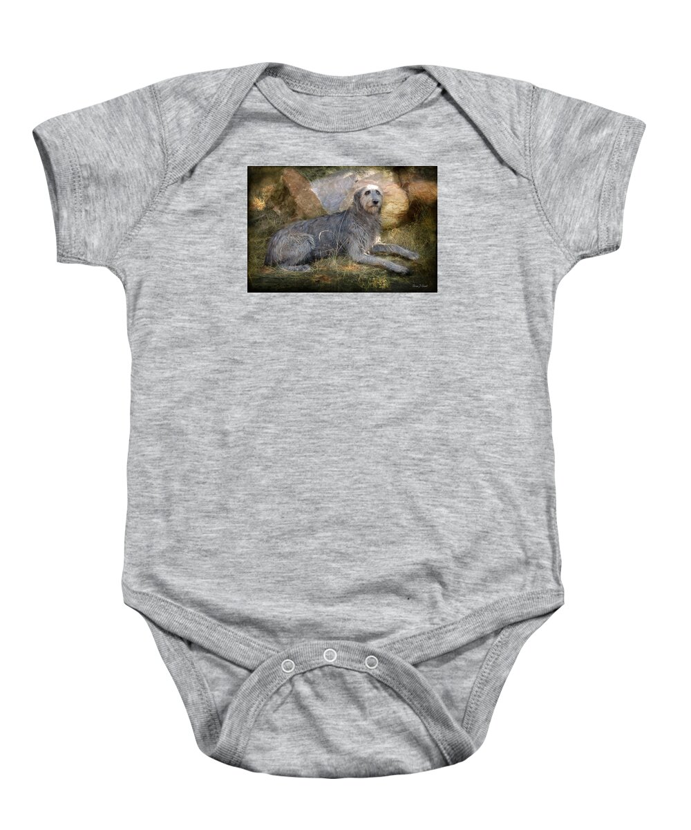 Dogs Baby Onesie featuring the photograph The Wolfhound by Fran J Scott