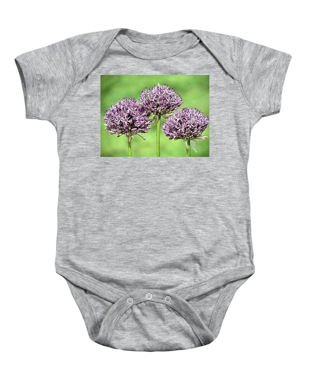Purple Sensation Allium Baby Onesie featuring the photograph Three Purple Sensation Alliums by Janice Drew