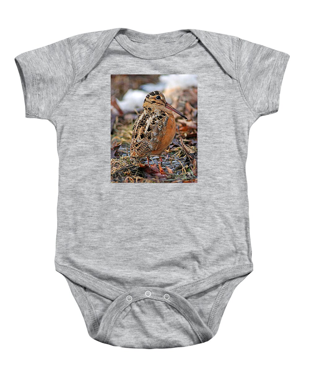 Woodcock Baby Onesie featuring the photograph Timberdoodle the American Woodcock by Timothy Flanigan