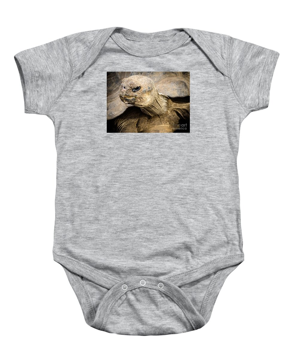 Tortoise Baby Onesie featuring the photograph Tortoise by Imagery by Charly