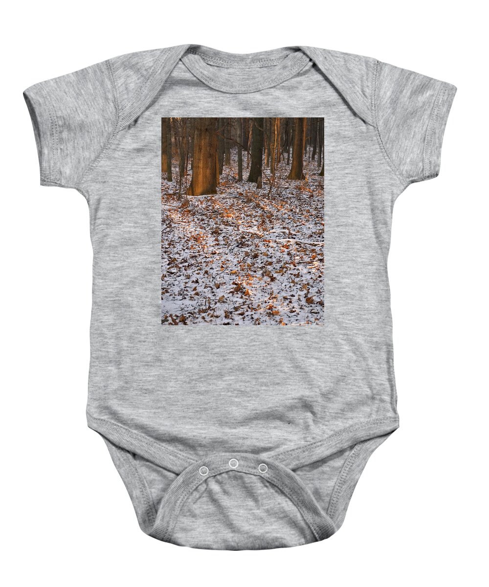 Arboretum Baby Onesie featuring the photograph Trees by Steven Ralser