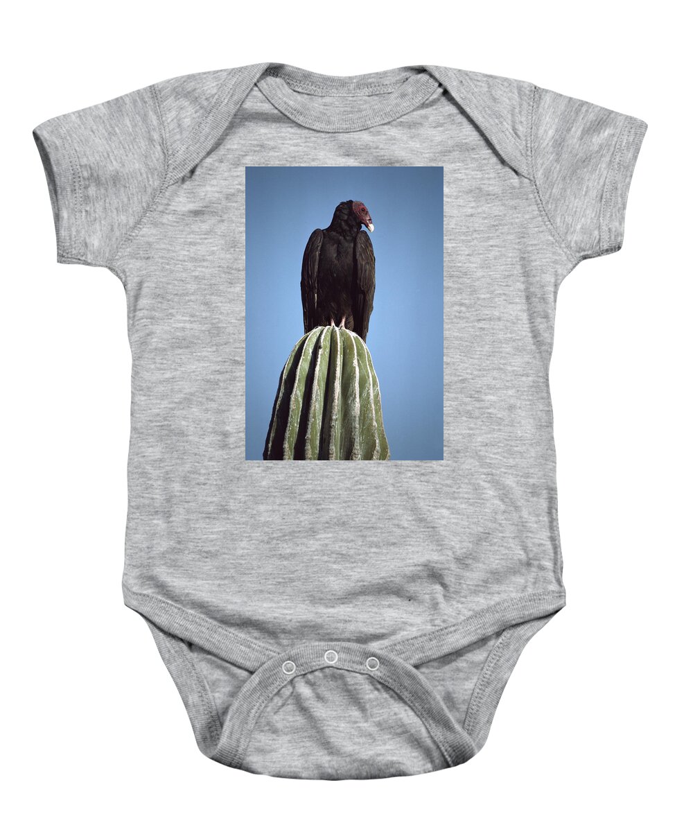 Feb0514 Baby Onesie featuring the photograph Turkey Vulture On Cardon Cactus Baja by Larry Minden