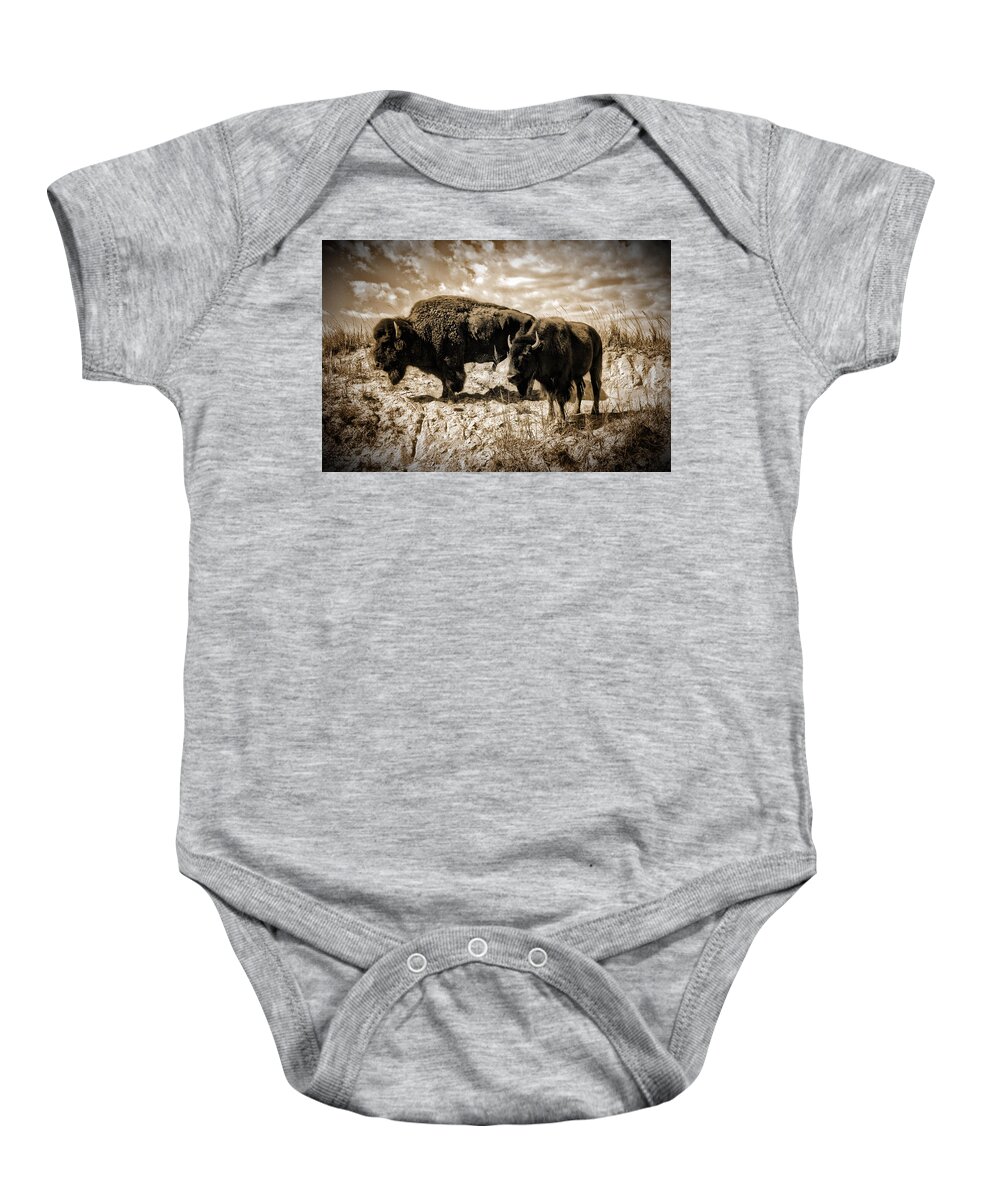 Photograph Baby Onesie featuring the photograph Two Buffalo by Richard Gehlbach