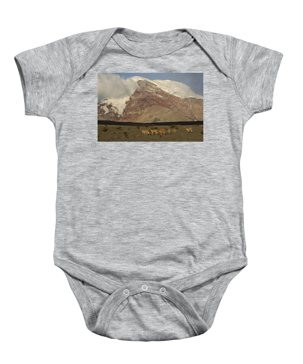 Feb0514 Baby Onesie featuring the photograph Vicuna Herd Grazing At Mt Chimborazo by Pete Oxford