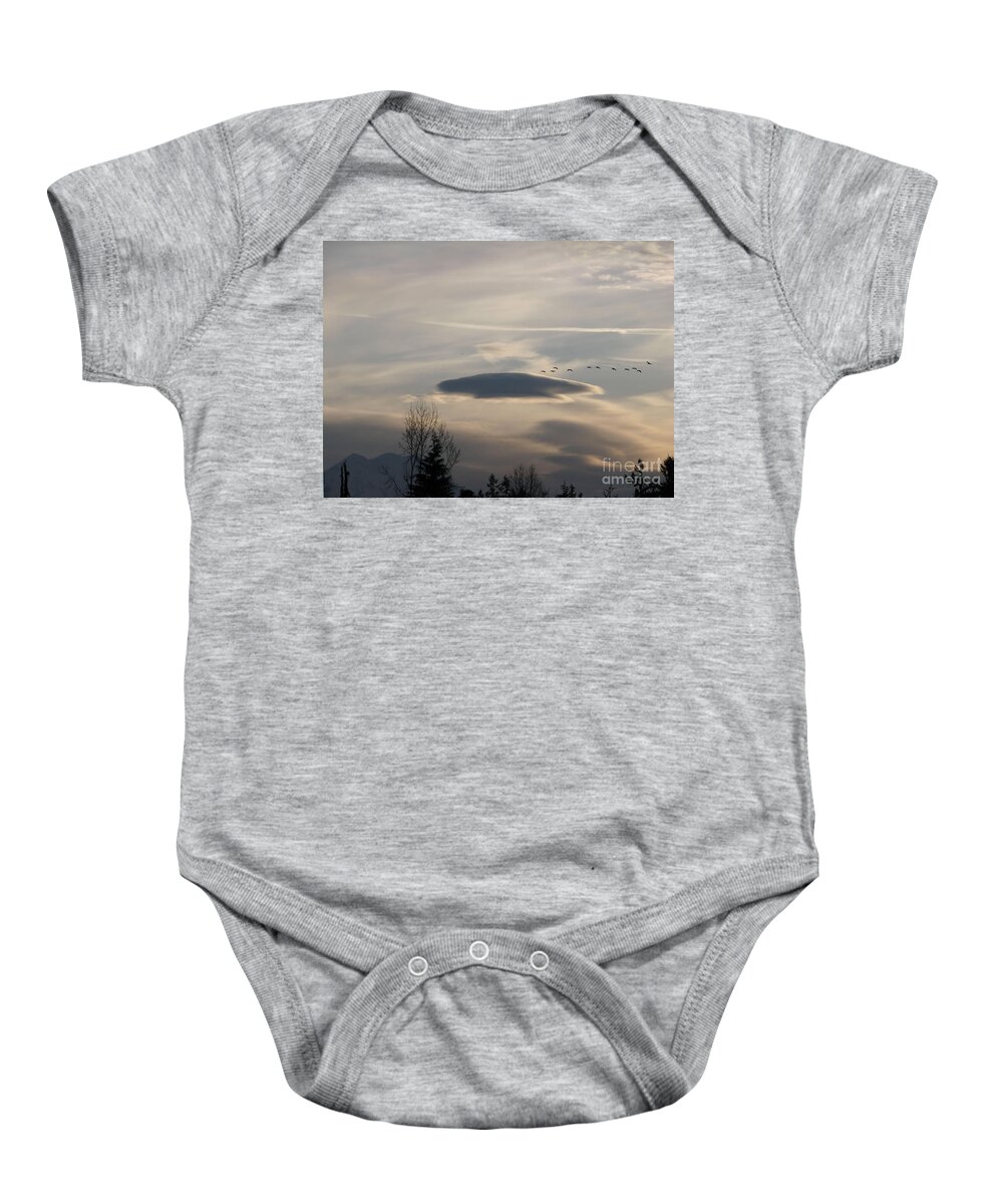 Landscape Baby Onesie featuring the photograph Visitors by Rory Siegel