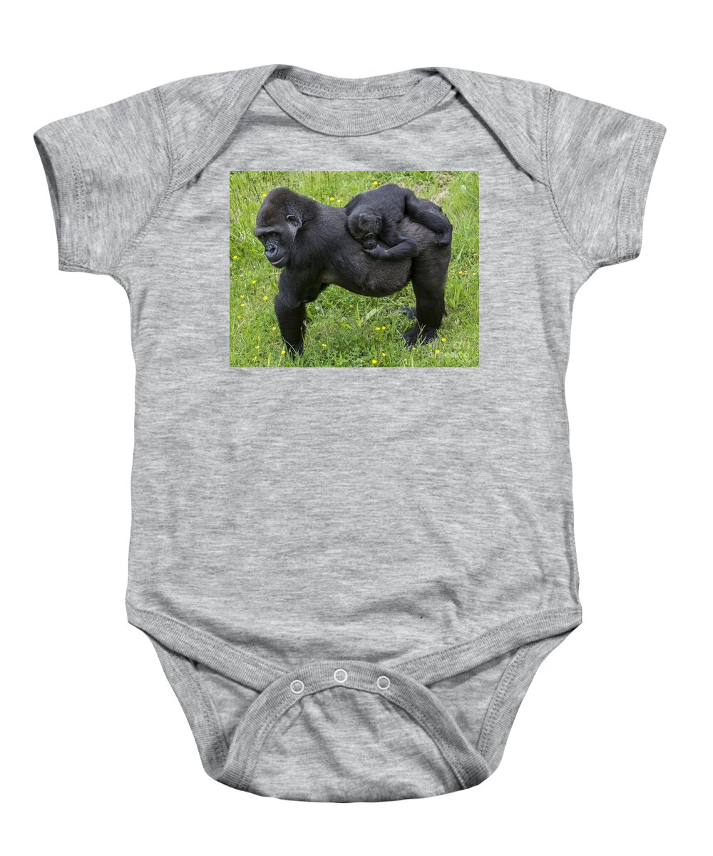 Western Lowland Gorilla Baby Onesie featuring the photograph Western lowland gorilla 2 by Arterra Picture Library