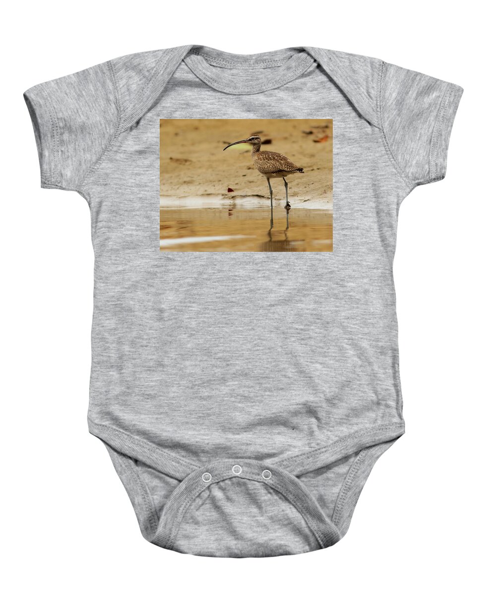 Whimbrel Baby Onesie featuring the photograph Whimbrel by Erin Thomsen