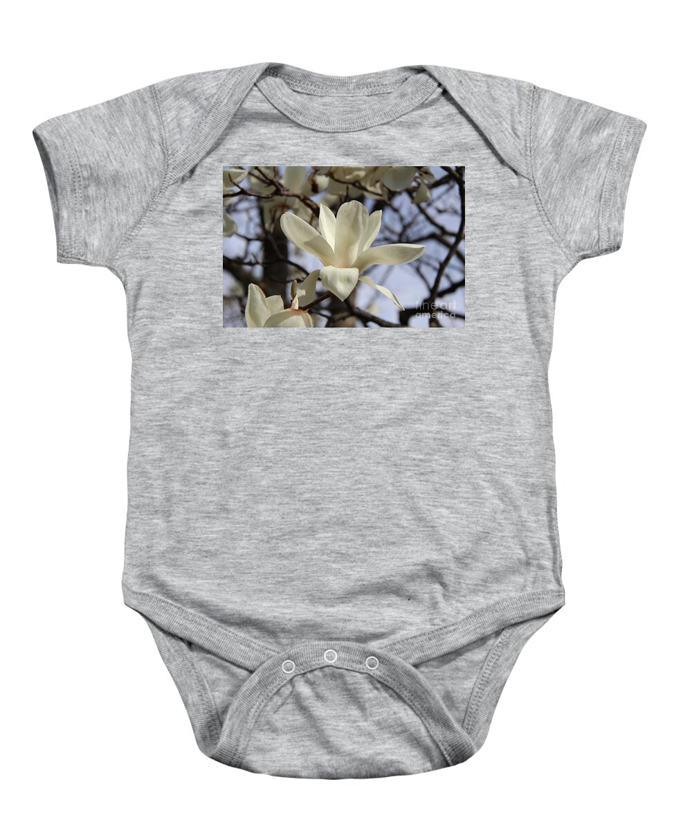 Magnolia Baby Onesie featuring the photograph White Magnolia Flower I by Anne Nordhaus-Bike