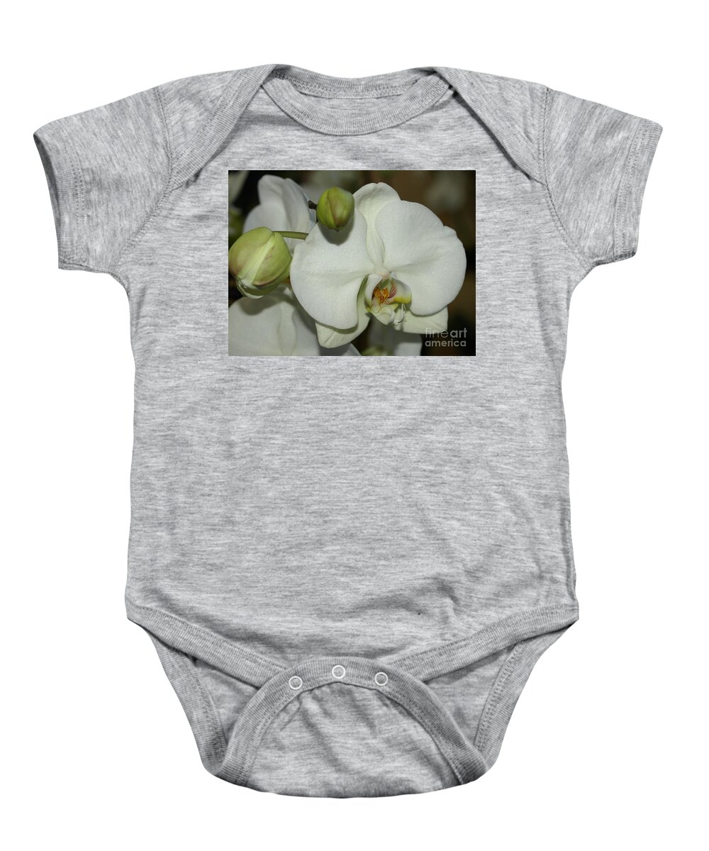 White Baby Onesie featuring the photograph White Orchid by Jacklyn Duryea Fraizer