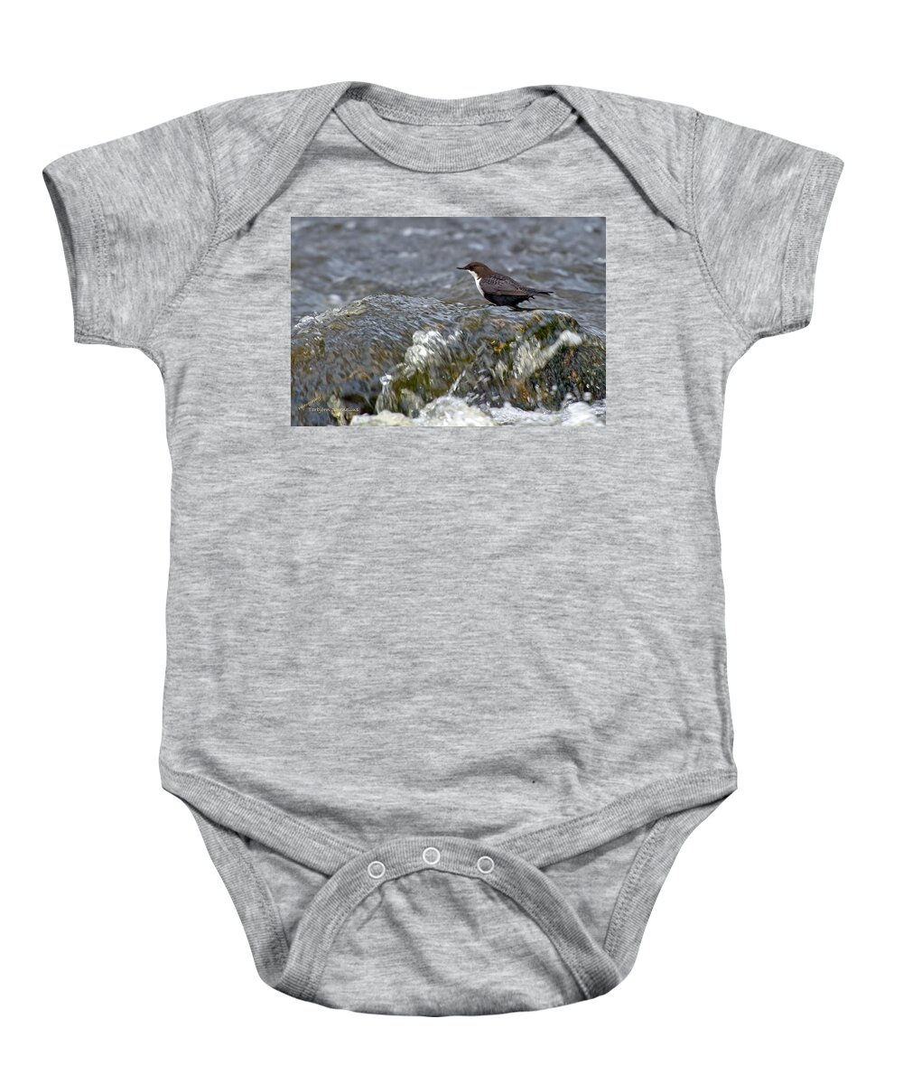 White-throated Dipper Baby Onesie featuring the photograph White-throated Dipper by Torbjorn Swenelius