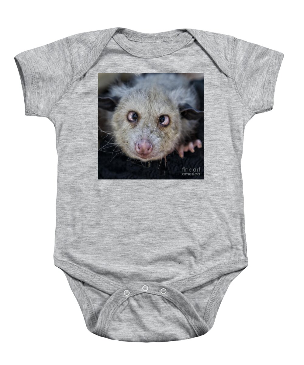 Possum Baby Onesie featuring the photograph Who You Lookin At by Timothy Hacker
