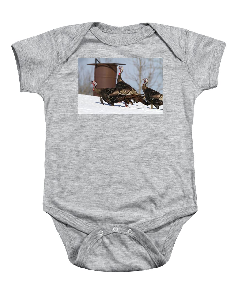 Nature Baby Onesie featuring the photograph Wild Turkey In Snow by Linda Freshwaters Arndt