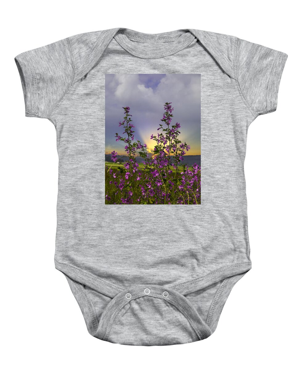 Appalachia Baby Onesie featuring the photograph Wildflowers by Debra and Dave Vanderlaan