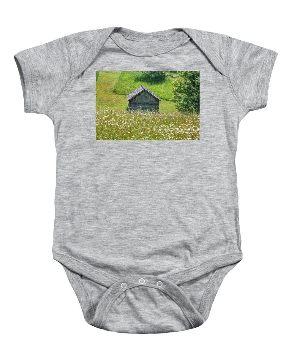 Cumberland Gap National Historical Park Baby Onesie featuring the photograph Wildflowers in the Fields by Mary Almond