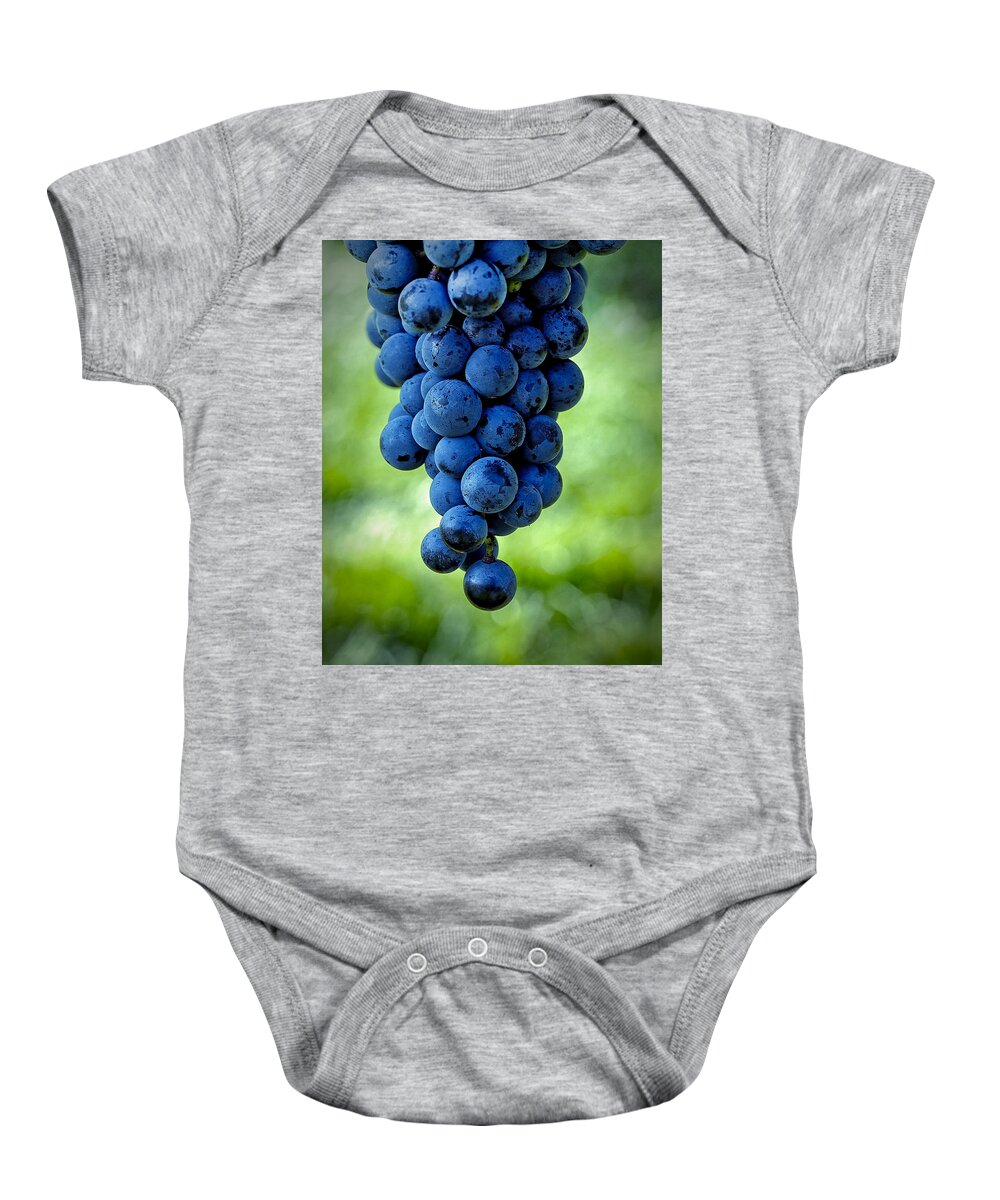 Food Baby Onesie featuring the photograph Wine Grapes by Phil Cardamone