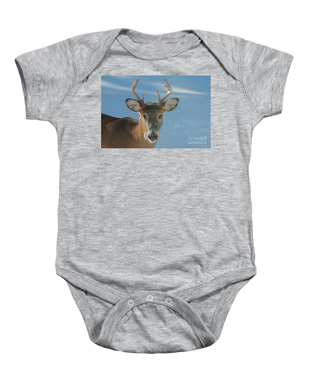 Eight-point Buck Baby Onesie featuring the photograph Winter Buck by Joan Wallner