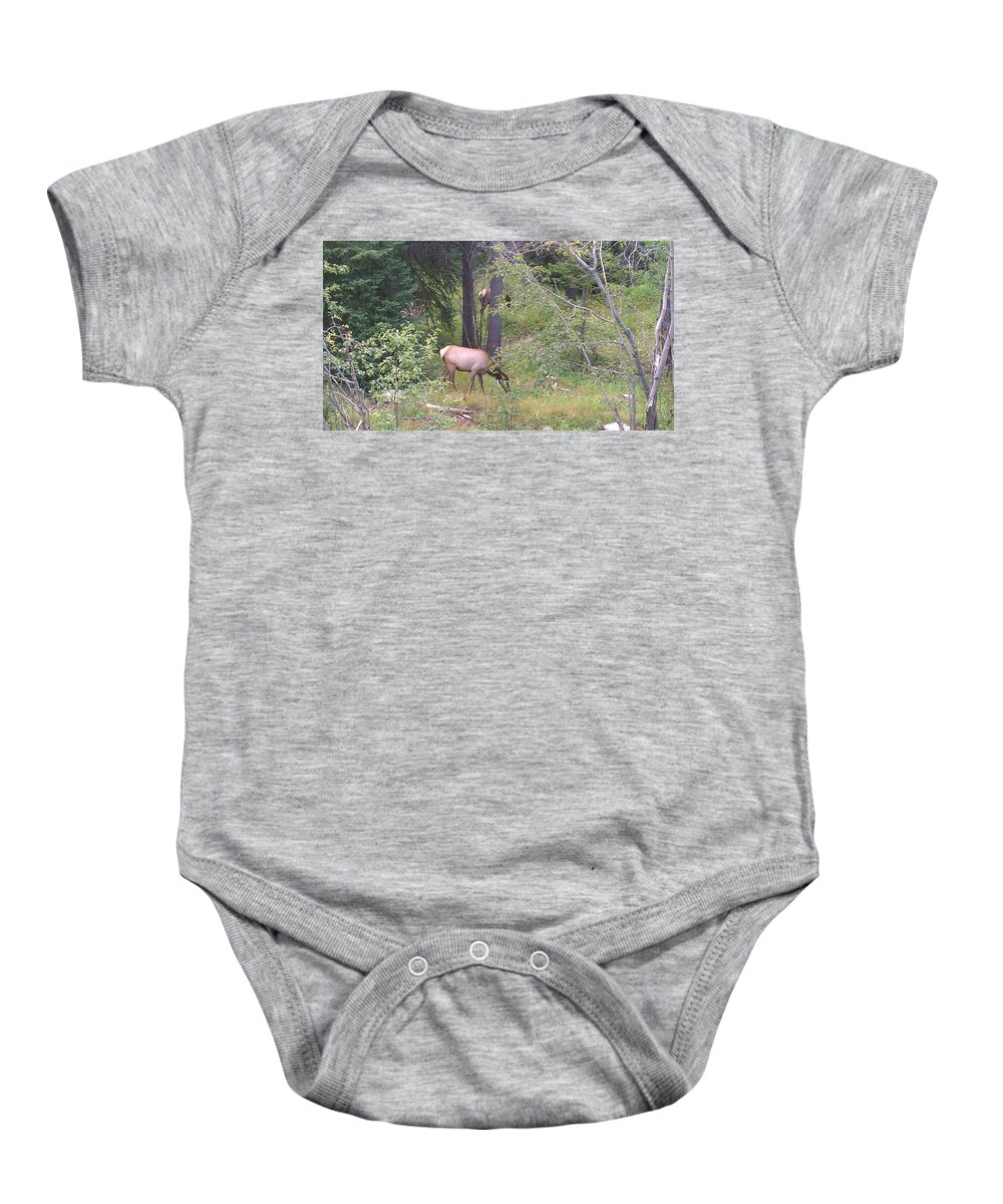 Lanscape Baby Onesie featuring the photograph Young Elk Grazing by Fortunate Findings Shirley Dickerson