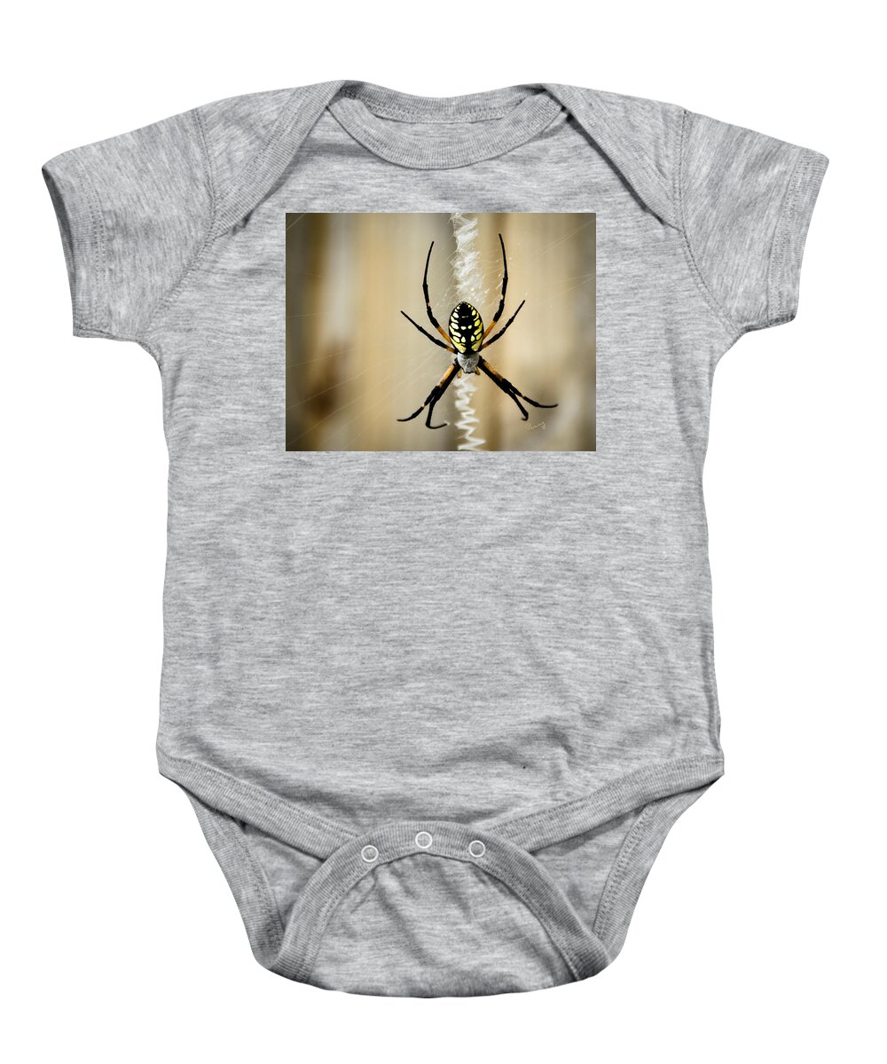 Argiope Aurantia Baby Onesie featuring the photograph Zig Zag is More Fun by Penny Lisowski