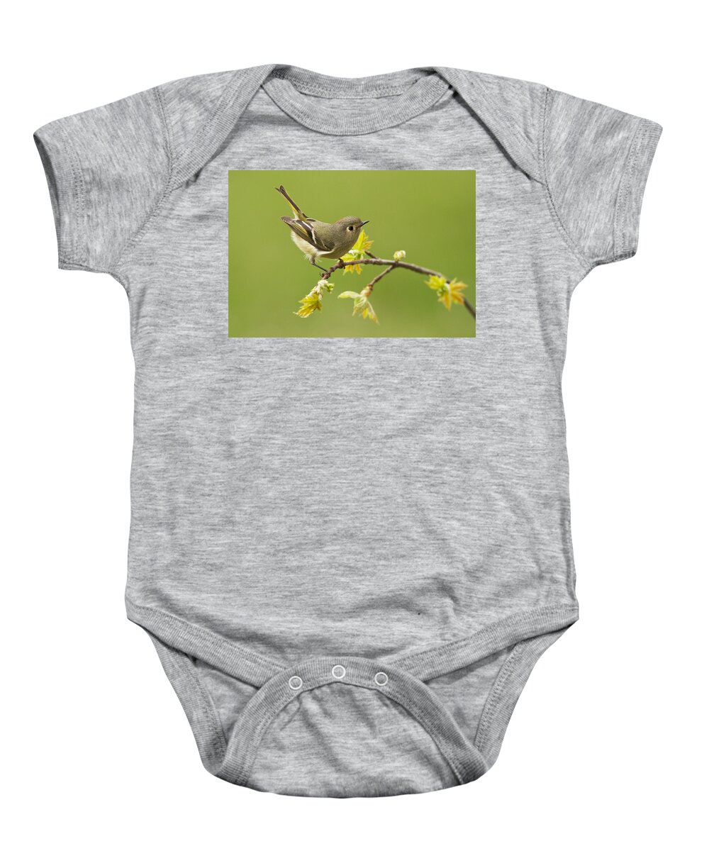 Ruby Baby Onesie featuring the photograph Kinglet #1 by Mircea Costina Photography