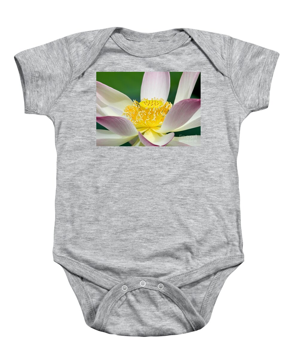 Lotus Baby Onesie featuring the photograph Lotus Up Close #1 by Sabrina L Ryan