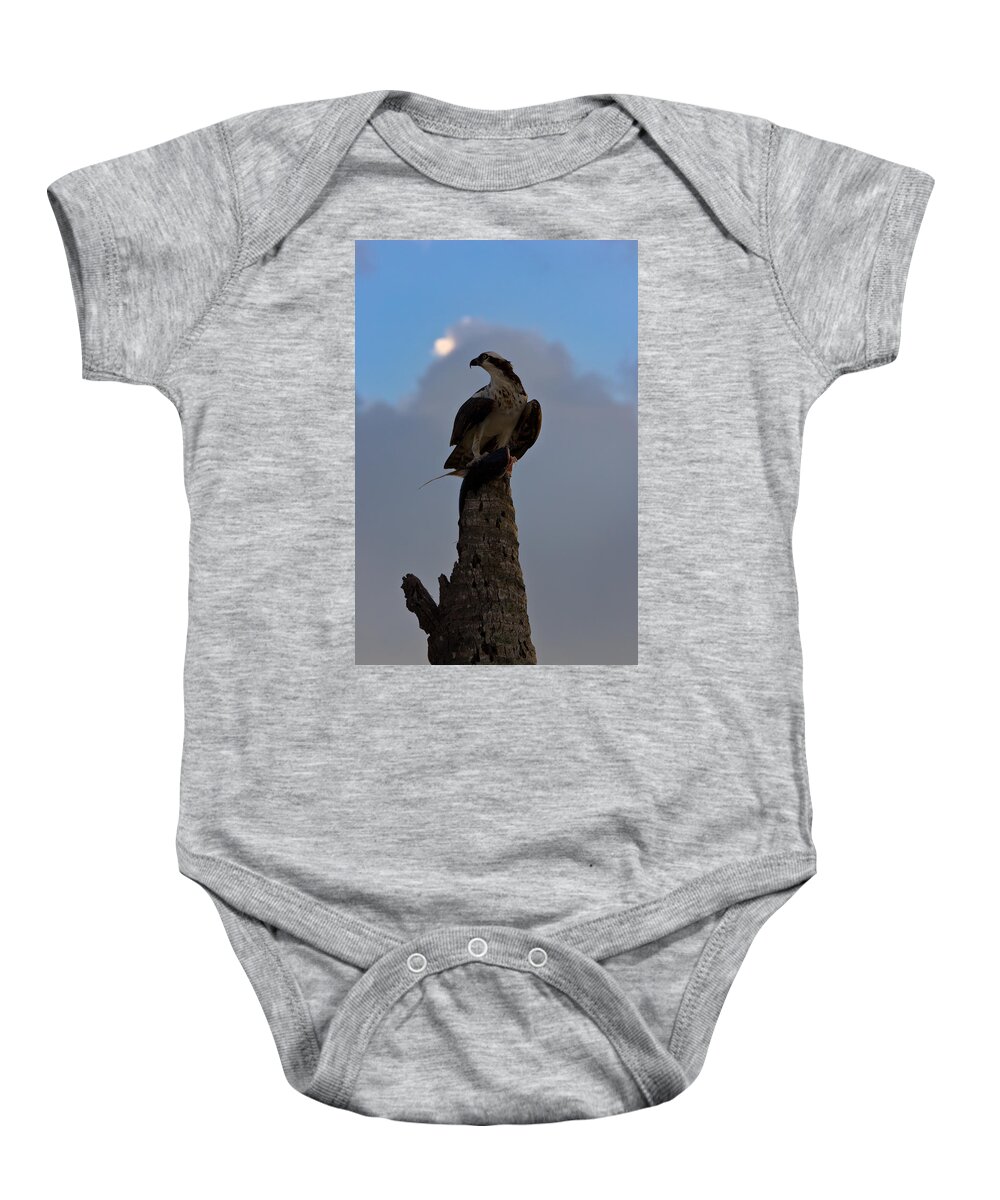 Bird Baby Onesie featuring the photograph Osprey with Catch #1 by Ed Gleichman