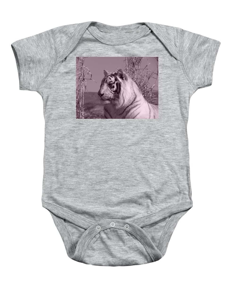 White Tiger Baby Onesie featuring the photograph Perfect Profile #1 by Kim Galluzzo