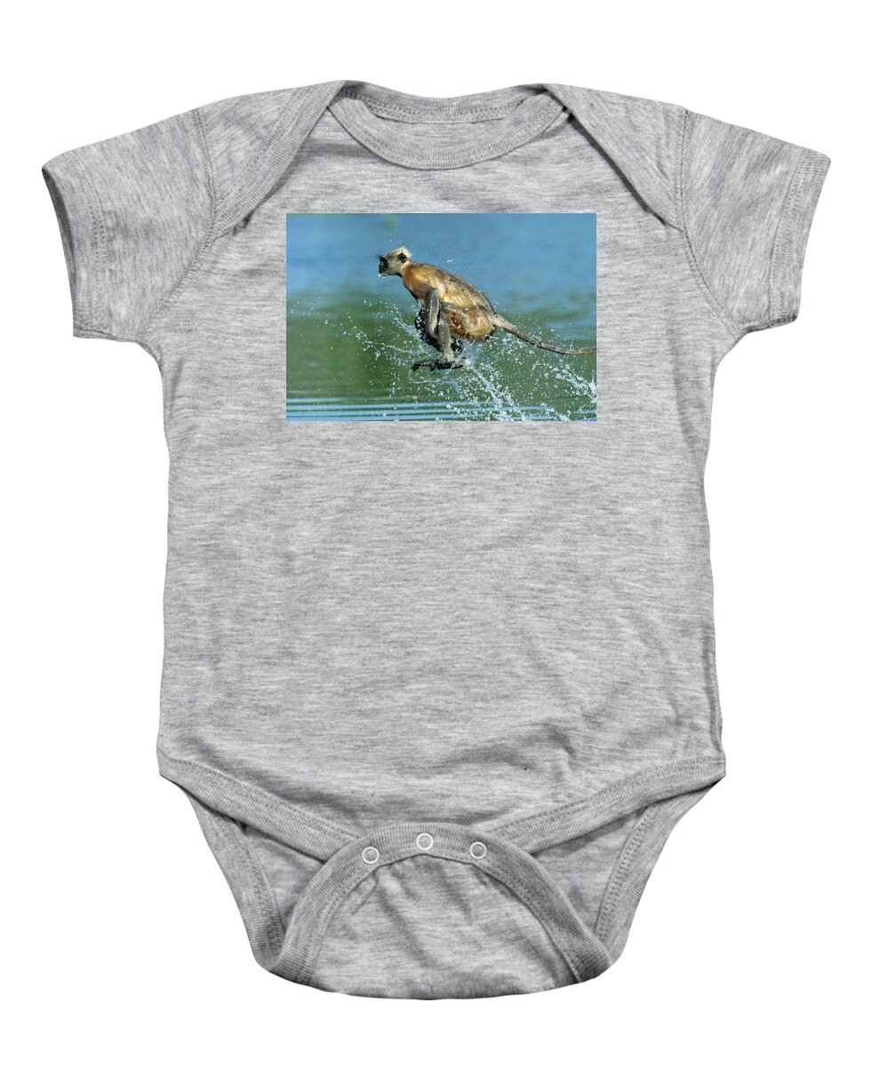 Mp Baby Onesie featuring the photograph Hanuman Langur Semnopithecus Entellus #2 by Cyril Ruoso