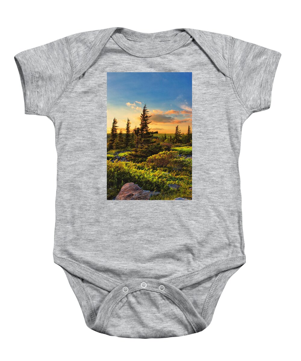 Dolly Sods Baby Onesie featuring the photograph Dolly Sods Wilderness #8 by Mary Almond