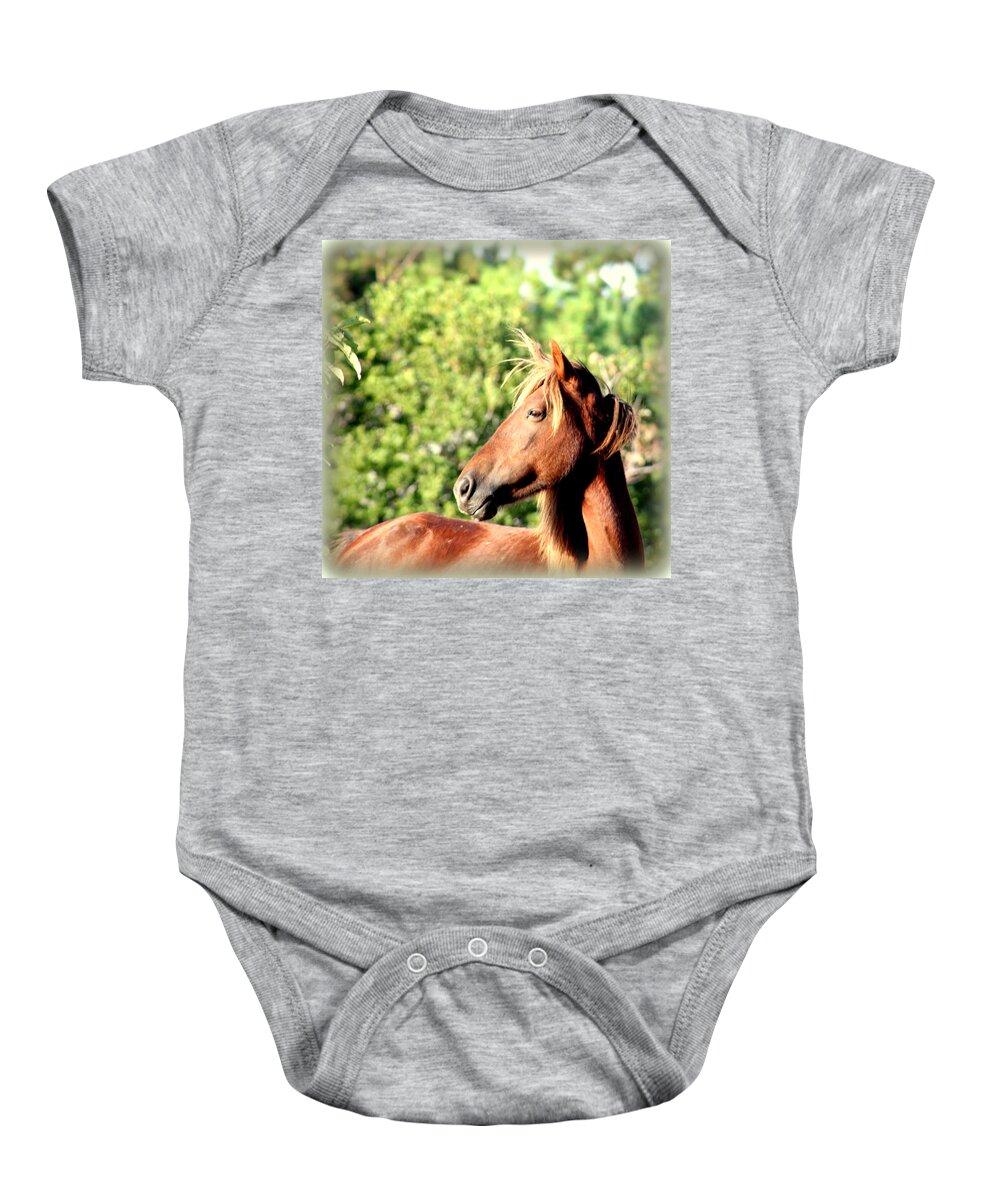 Wild Spanish Mustang Baby Onesie featuring the photograph A Beautiful Mare Profile Pose by Kim Galluzzo
