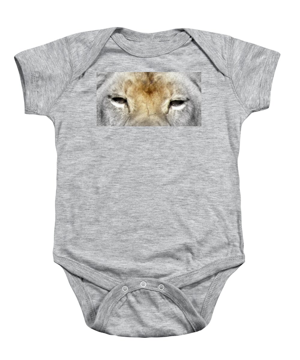 Lion Baby Onesie featuring the photograph A Touch Of Color by Kim Galluzzo