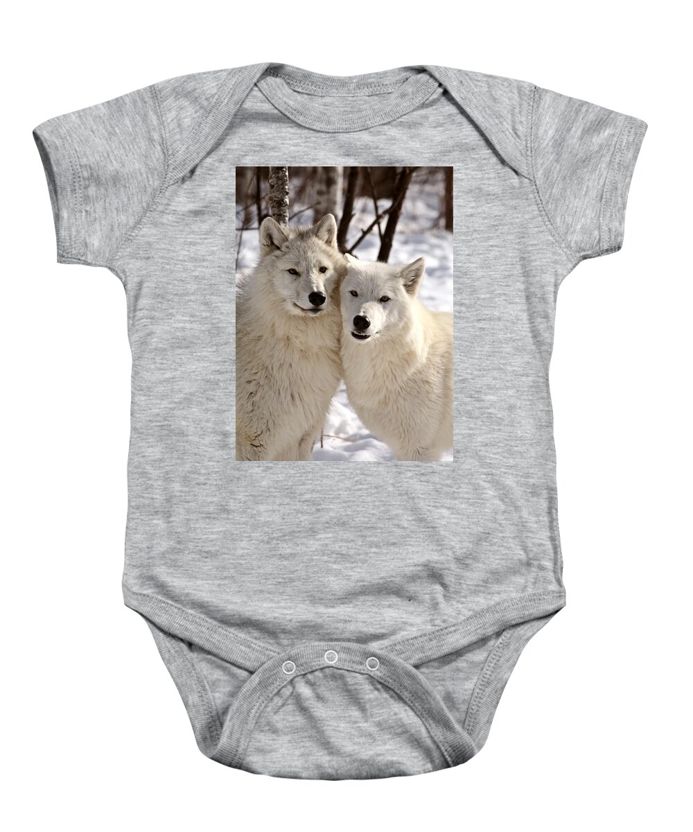 Arctic Wolf Baby Onesie featuring the photograph Arctic Wolves close together in winter by Mark Duffy